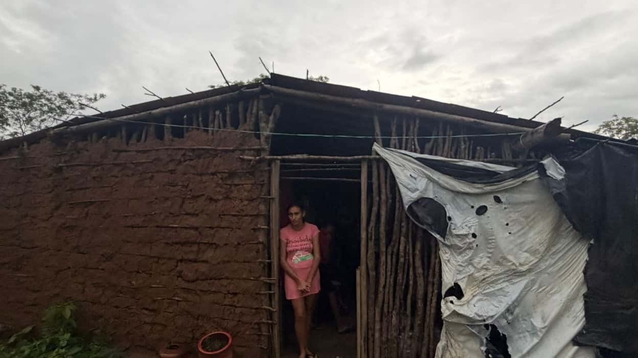 Mae abandonada na gravidez vive com 4 filhos numa cabana de lona na mata, sem luz e a 5km do mercado mais perto